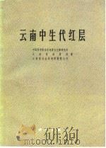 云南中生代红层（1975 PDF版）
