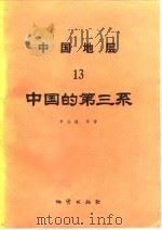中国地层  13  中国的第三系（1984 PDF版）