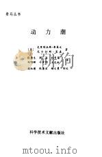 动力潮 1998 PDF电子版封面 7502325336 (美)克里斯托弗·弗莱文(C.Flavin),(美)尼古拉斯