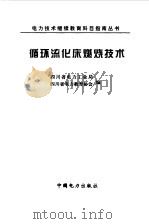 循环流化床燃烧技术（1998 PDF版）