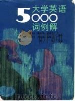 大学英语5000词例解   1994  PDF电子版封面  7200020516  冀成会等编写 