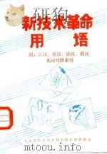 新技术革命用语 附:日汉、英汉、法汉、俄汉名词对照索引 1984 PDF电子版封面 北京市科学技术情报研究所资料室