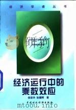 经济运行中的乘数效应（1998 PDF版）