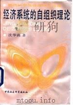 经济系统的自组织理论-现代科学与经济学方法论 沈华嵩 1994 PDF电子版封面 730201597X 朱宝宪,陈章武
