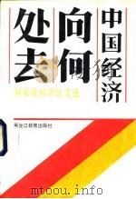 中国经济向何处去 何家成经济论文选 1991.07 PDF电子版封面 753160759X 何家成著