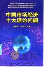 中国市场经济十大理论问题（1999 PDF版）