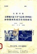 东濮凹陷文留地区盐下含气层系 沙四段 砂体微相及成岩作用的研究 1985 PDF电子版封面 赵澄林,刘孟慧,冯正行,李健,寿建峰