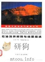 石油测井解释与储层描述（1994 PDF版）