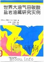 世界大油气田碳酸盐岩油藏研究实例 1993 PDF电子版封面 7502108424 (美)罗海尔(Roehl,Perry O),(美)乔奎特(C