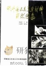 碳纤维及其复合材料显微图象 1991 PDF电子版封面 7306003887 曾汉民,于翘,彭维周,蒲天游