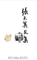 张天翼文集 第2卷 1985 PDF电子版封面 10078·3504 张天翼著