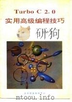Turbo C2.0实用高级编程技巧（ PDF版）