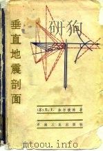 垂直地震剖面（1983 PDF版）