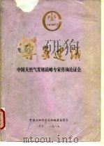 专家建设  中国天然气发展战略专家咨询论证会（1989 PDF版）