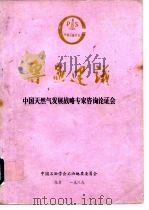专家建议 中国天然气发展战略专家咨询论证会 PDF电子版封面