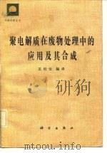 聚电解质在废物处理中的应用及其合成（1983 PDF版）
