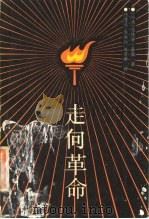 走向革命 华北的战争、社会变革和中国共产党 1937-1945 1987 PDF电子版封面 7800230201 (瑞典)嘉图著;赵景峰等译