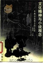 文化精神与小说观念 中西小说观念的比较 1989 PDF电子版封面 7202004313 白海珍,汪帆著