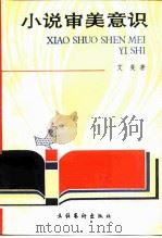 小说审美意识 1988 PDF电子版封面 7503900970 艾斐著