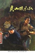 灵山便衣队  革命回忆录（1979 PDF版）