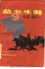 金戈生涯（1986 PDF版）