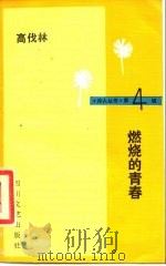 燃烧的青春 1986 PDF电子版封面 10374·107 高伐林著