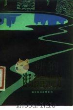 逃到甜蜜的地方 撒尼民间抒情长诗 1979 PDF电子版封面 10116·787 袁勃整理