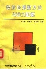 煤炭检测新方法与动力配煤   1992.04  PDF电子版封面  7504703265  刘天新等主编 