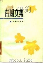 白朗文集 2 中篇小说集 1985 PDF电子版封面 10158·867 白朗著