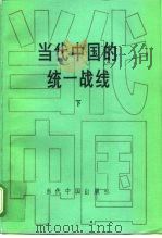 当代中国的统一战线 下 1996 PDF电子版封面 7800924440 江平