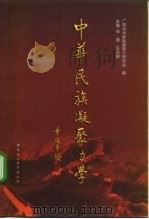 中华民族凝聚力学（1999 PDF版）