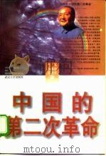 中国的第二次革命 1997 PDF电子版封面 7307025256 毛磊等著