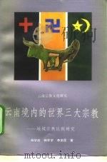 云南境内的世界三大宗教 地域宗教比较研究 1993 PDF电子版封面 7222014004 杨学政等著