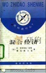 混合经济 1995 PDF电子版封面 7100019680 (法)让-多米尼克·拉费(Jean-dominique La