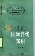 国际咨询知识（1992 PDF版）