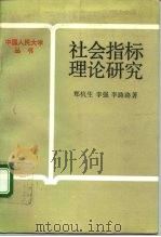 社会指标理论研究（1989 PDF版）
