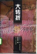 大转折  中共十一届三中全会实录   1998  PDF电子版封面  7213018019  张树军著 