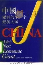 中国：亚洲的下一个经济大国   1992  PDF电子版封面  7805107181  （美）珀金斯（Perkins，Dwight H.）著；金志有 