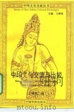 中印文化交流与比较 1994 PDF电子版封面 7800748804 王树英编