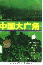 中国大广角 3 1992 PDF电子版封面 7800497054 薛建华,邹爱国著