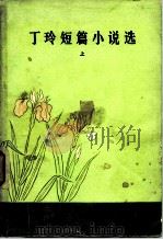 丁玲短篇小说选 1981 PDF电子版封面 10019·3072 丁玲著