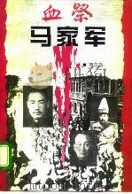 血祭马家军 1995 PDF电子版封面 780105220X 西尔枭著