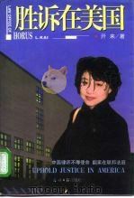 胜诉在美国（1998 PDF版）
