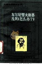 车尔尼雪夫斯基及其《怎么办》 1986 PDF电子版封面 10071·618 任子峰著