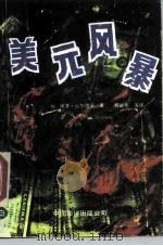 美元风暴 1989 PDF电子版封面 7800741370 (加)厄尔德曼(Erdman,P.E.)著;程毓燕等译
