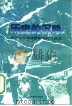 历史的沉吟 国外突发事件新闻摄影作品选 1995 PDF电子版封面 780007157X 王毓国编译
