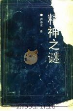 精神之谜  全息精神学（1991 PDF版）