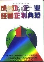 成功企业经营企划典范（1996 PDF版）