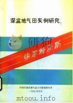 深盆地气田实例研究:埃尔姆沃斯 PDF电子版封面 约翰·A·马斯特斯