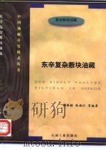 东辛复杂断块油藏（1997 PDF版）
